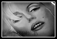 /album/galleria-fotografica/a12-jpg/